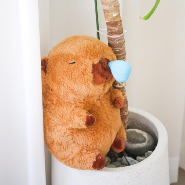 카피바라 콧물 인형 중형 30cm [Capybara 동물 봉제 귀여운 모찌 쿠션 웃긴 선물 캐피바라 인테리어 소품]