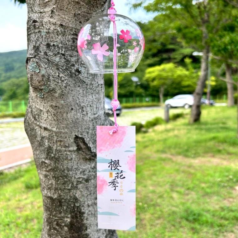 벚꽃 풍경 유리풍경 종소리 일식집 이자까야